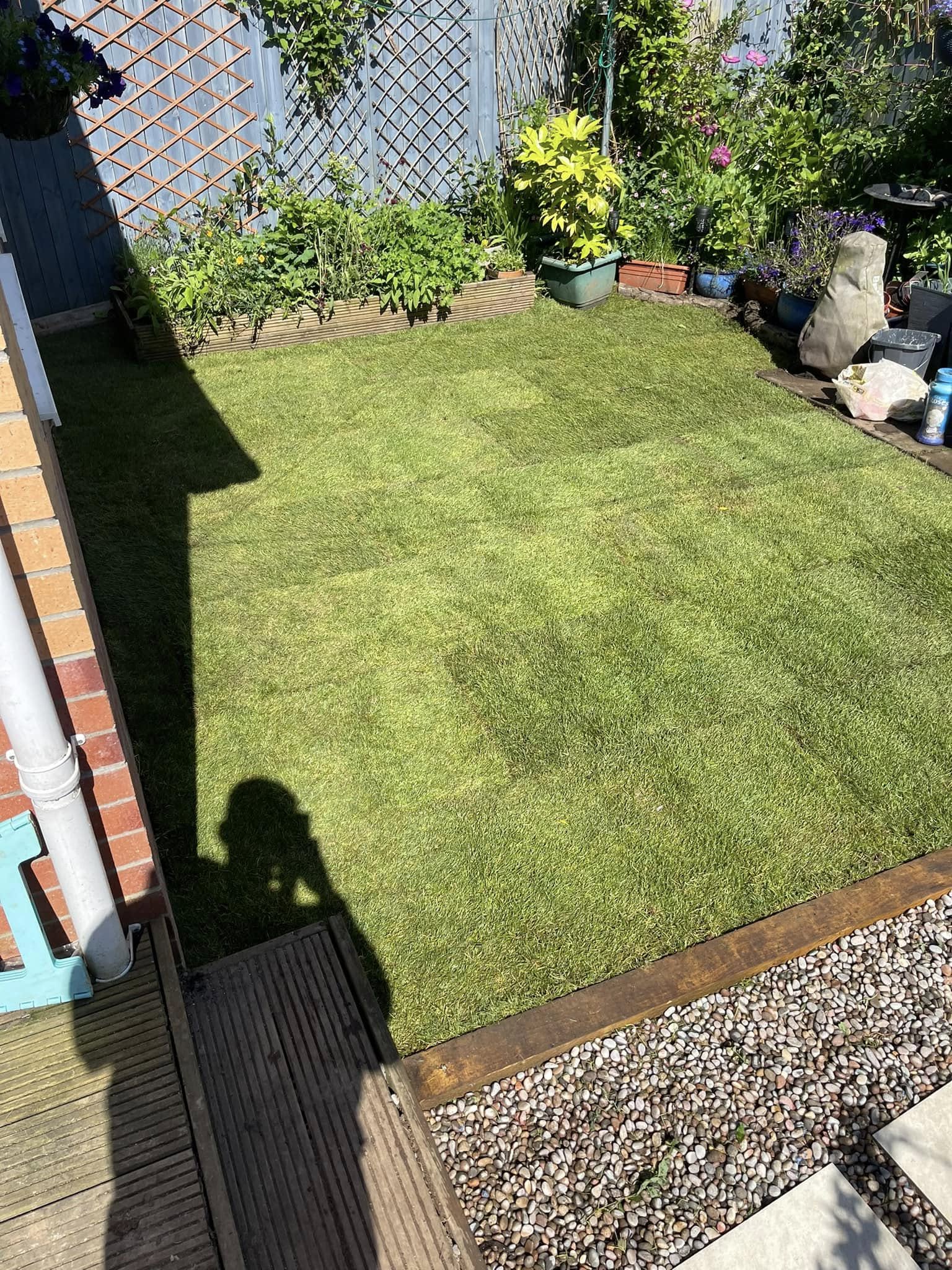grass Landscaping services