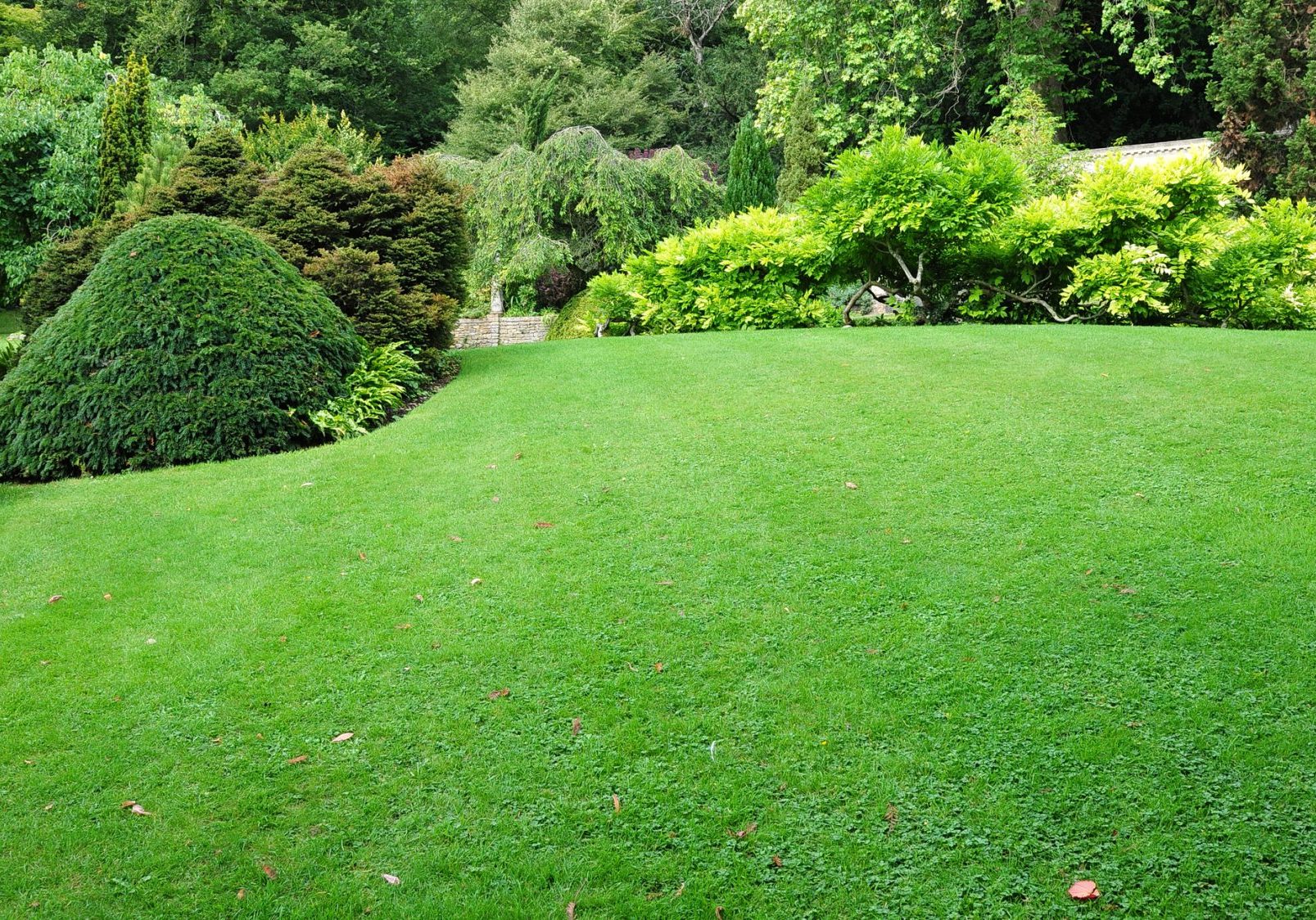 dreamstime_m_16002425 landscaping